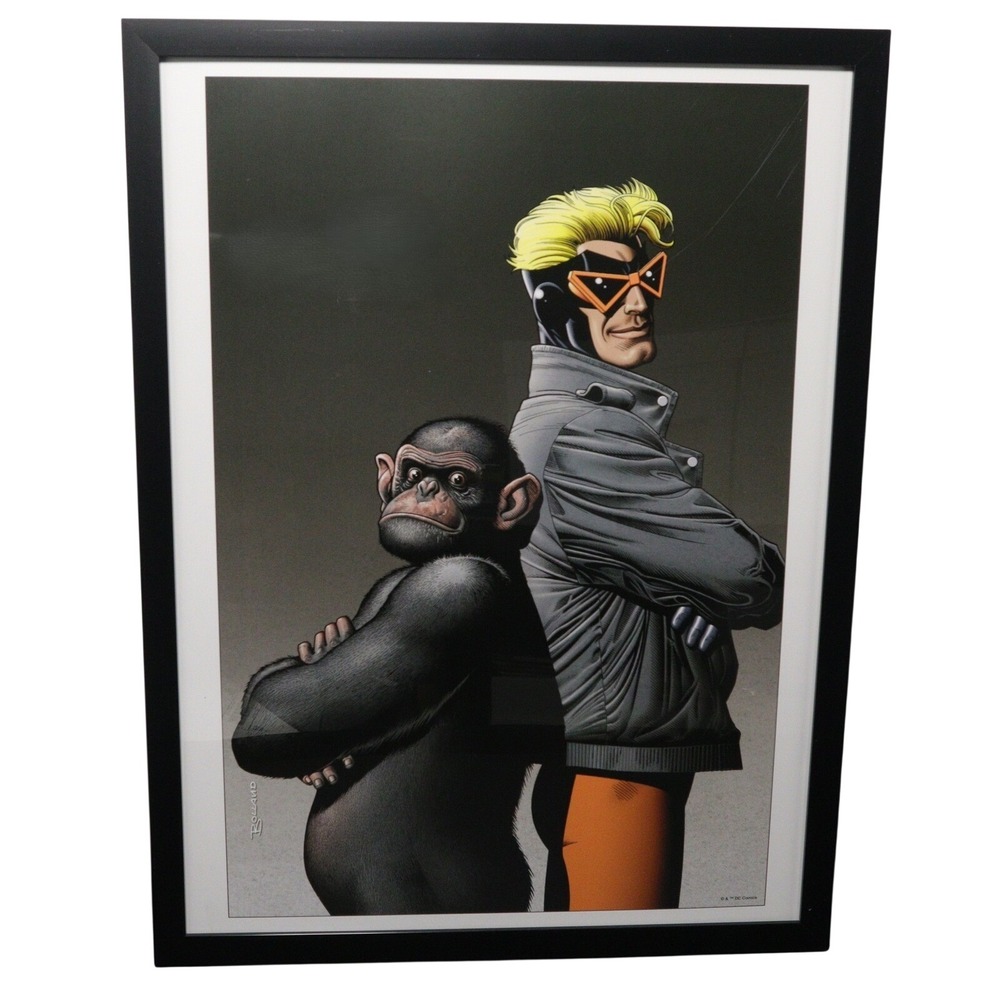 DC Comics Art Animal Man Framed 12x16 Brian Bolland Comic #‎ Cover